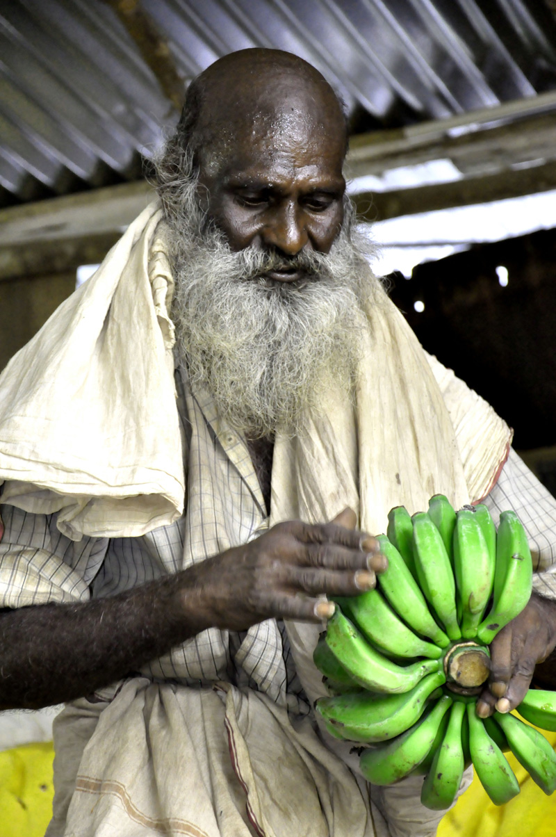Mediation is the winning entry in the Big picture category. The contrast of colours and the human quality emanating from the photo won over the jury. The man is a farmer selling his bananas at the Aadaloor market in the Indian state of Tamil Nadu. The photographer is K.P. Sajith, a PhD student at the National Research Centre for Banana. 