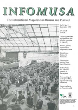 Cover of InfoMusa