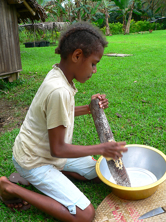 The bananas are mashed to a pulp using a traditional food grater.