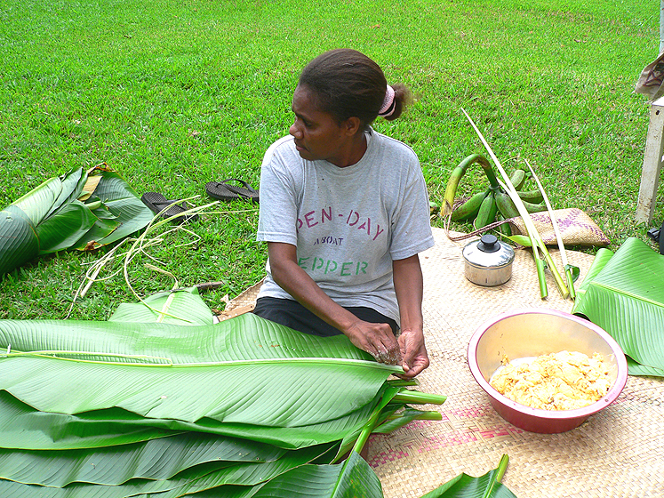 Banana leaves can be used to wrap the laplap, but Ni-Vanuatu prefer the thicker leaves of Heliconia plants which, like bananas, belong to the order Zingiberales. Fibre is removed from the midrib to make the ties that will be used to secure the laplap.