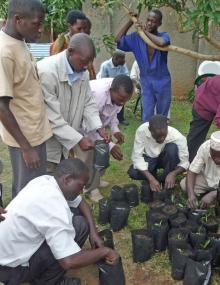 Learning how to handle tissue-culture plantlets. Photo by Thomas Dubois.