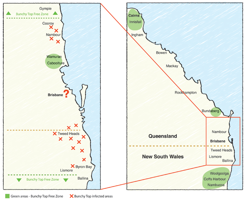 BBTV zone on each side of the border between New South Wales and Queensland.