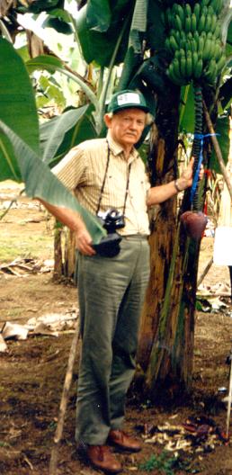 Kenneth Shepherd, a British researcher who worked on the cytogenetics, taxonomy and improvement of bananas.