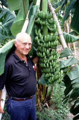 Phil Rowe, the late banana breeder with one of his creations, FHIA-25.