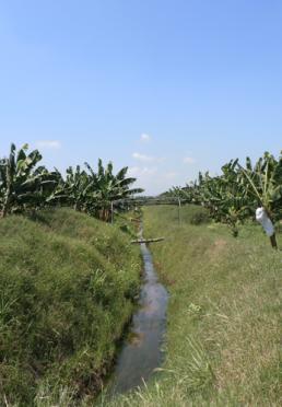 Irrigation canal