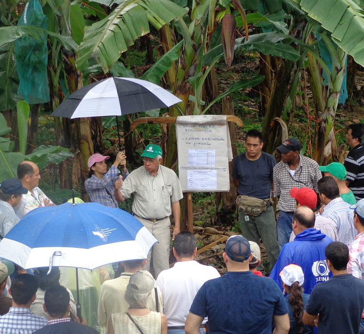 Each year, some 100 students are selected based on their social and environmental values and leadership potential. The faculty includes banana experts such as professor Moises Soto, here talking to participants attending EARTH’s International Banana Congress held in July 2013. (Photo by Luis Pocasangre)