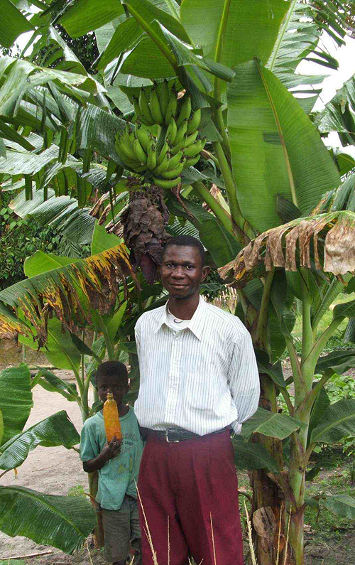 Boofo, a small French Plantain. (Photo by Benoit Dhed'a Djailo)