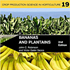 cover_b&p_book_70x70.jpg