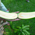 Laplap thumbnail