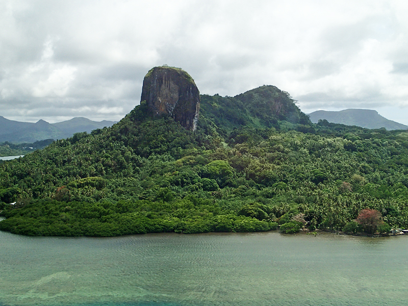 The rich soil and humid forests of Pohnpei Island, in the Federated States of Micronesia, provide the ideal setting for the agroforestry system in which bananas are traditionally cultivated. (Photo by A. Vezina)