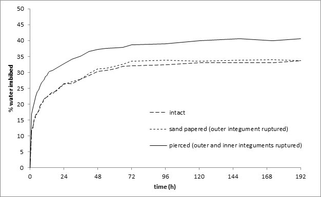 Water uptake, measured as increase in weight, by intact sand-papered and pierced Musa acuminata seeds. The seed coat was pierced adjacent to the chalazal mass. Sand-papered seeds were abraded between the micropylar plug and chalazal mass. (Data from Wattananchaiyingcharoen 1990)
