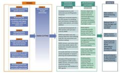 Expected outcomes and impacts of the thematic areas addressed in the research programme on roots, tubers and bananas.