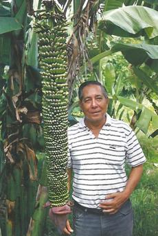 Ramon Valmayor in 1994 by D. Jones