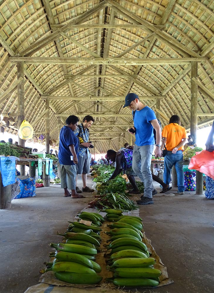 The team did some reconnaissance in markets, on the lookout for bananas to ask about when visiting farmers. This is where they first spotted a slender and curvy banana with an almost white peel (see below). The vendor did not know its name, but after being asked a few times made one up. Pointing to Julie Sardos’ white skin, she named it ‘Misis’, the local word for European woman. When the team saw the banana again in a field adjacent to a school, they asked one of the teachers who had the same reaction. After looking at Gabriel Sachter-Smith, he named the banana ‘Wait masta’ (white master). The team eventually found someone who was growing the banana plant and said that in her village it was called 'Talasea'. (Photo by Julie Sardos)