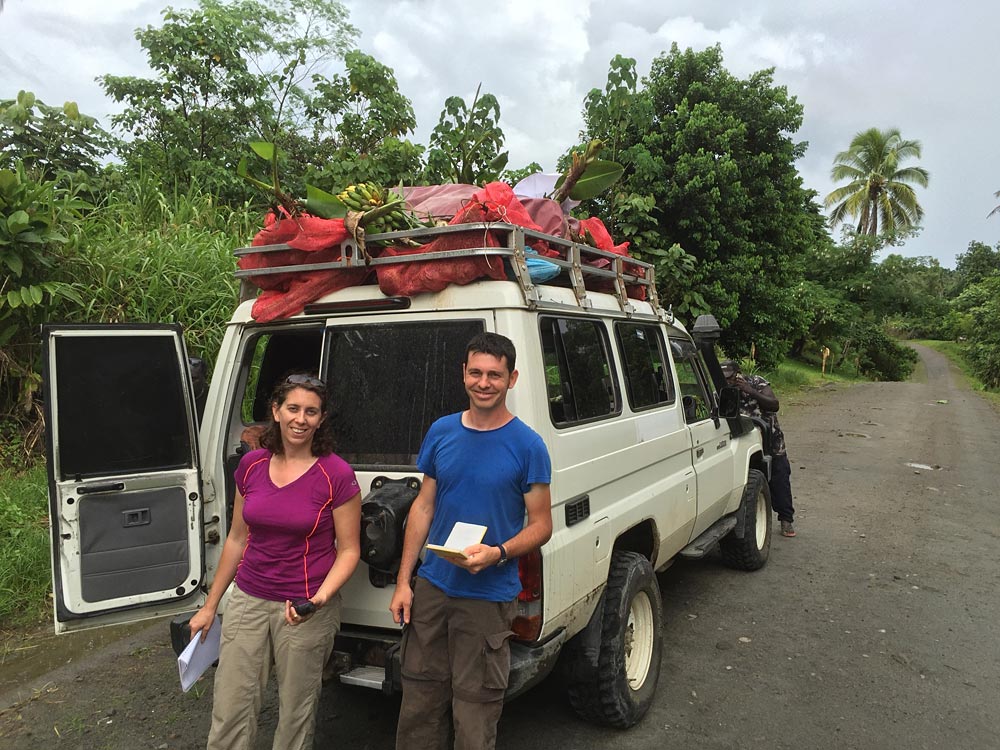 With the help of Julie Sardos and the rest of the team, Steven Janssens collected leaf samples to study the gene flow between the two wild species. When a plant was fruiting they also collected seeds, in addition to the leaf sample. The analysis of the genetic data will help determine how many seeds need to be collected to capture, for conservation, the genetic diversity of a population of wild bananas. (Photo by Gabriel Sachter-Smith)