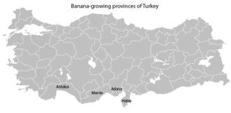 Turkey Banana Producing Provinces