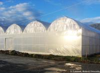 Turky Plastic Greenhouses HG