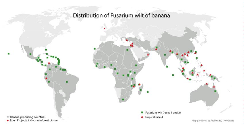 Fusarium Map