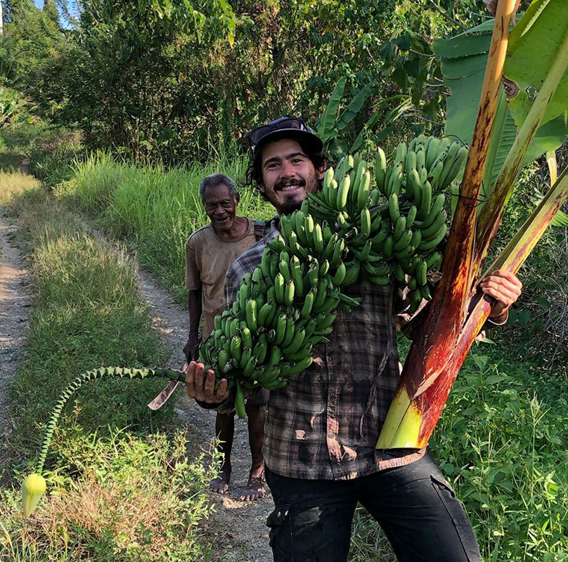 The man behind me thought it was funny that I wanted to get a wild banana. "Em no gut! I gat pleni seed lo em!" he kept saying in PNG’s Tok Pisin. The bunch I’m holding belongs to the species [Musa acuminata|Musa acuminata], the main ancestral species present in most edible cultivars, either by itself or with other Musa species. There are over 20 described forms of Musa acuminata, several of which contributed to edible bananas. This one is Musa acuminata ssp. banksii, which in my view is the most interesting one. It’s native to New Guinea and surrounding islands, where it seems to be still influencing the [Domestication+of+the+banana|domestication] of edible bananas. We usually talk of domestication as something that happened millennia ago. But I think the door is always open.