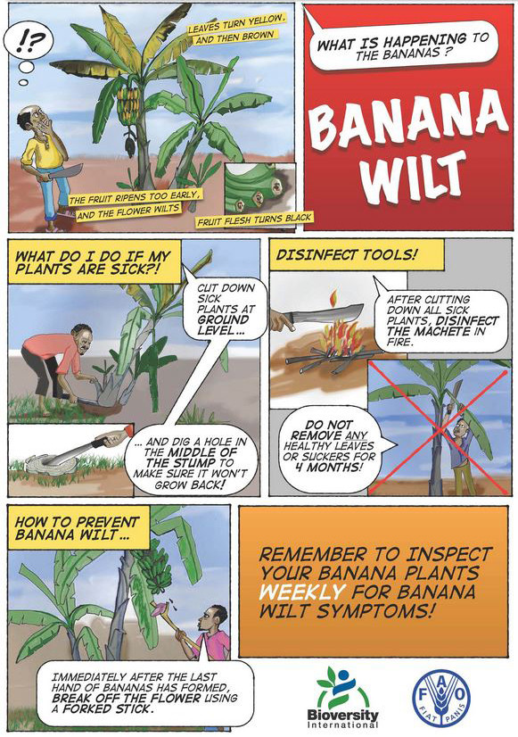 Poster used to raise awareness.