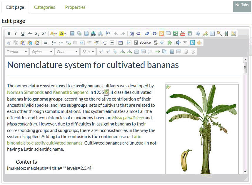 screen shot of editing interface