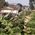 Roadside market in Uganda