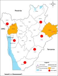 Distribution of Xanthomonas wilt in Burundi.