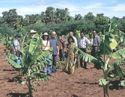 Field visits may spread pathogens.